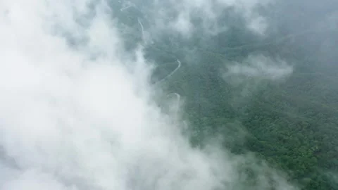 Aerial view of mountain sea of clouds mist winding green mountain Qinling Video stock 337925693