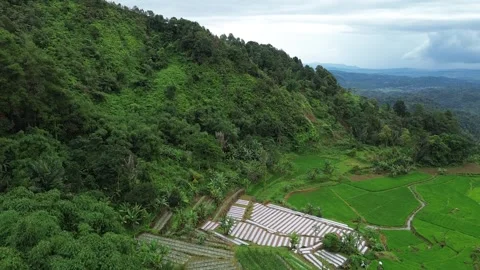 Aerial View of Mountain Slope and Farm Fields Stock Footage 343859059
