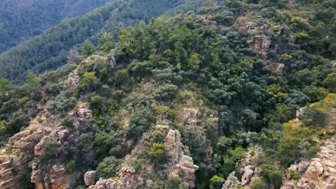 Aerial view of a mountain slope with trees and rocks Stock Footage 241245573