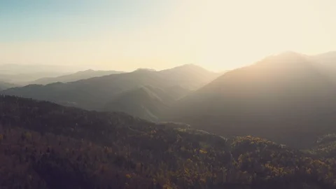 Aerial view of mountain slopes covered with forest Stock Footage 93209870