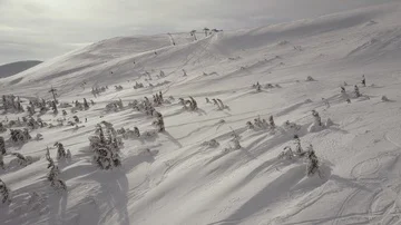 Aerial view. Mountain slopes with pine trees covered with snow in winter Stockbeeldmateriaal 86081749