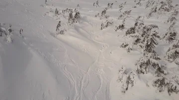 Aerial view. Mountain slopes with pine trees covered with snow in winter Stock Footage 86082127