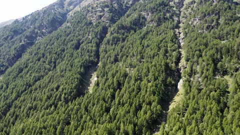 Aerial View Of Mountain Slopes With Trees On Alps Stock Footage 248626550