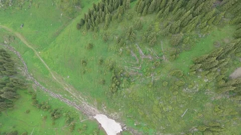 Aerial view of mountain stream and pine forest Stock Footage 345387752