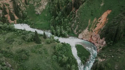 Aerial view of a mountain stream flowing through a dense forest. Stock Footage 316031319