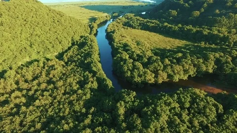 Aerial View. Mountain stream flows into the ocean. Mountain river flowing in the Stock Footage 72766891