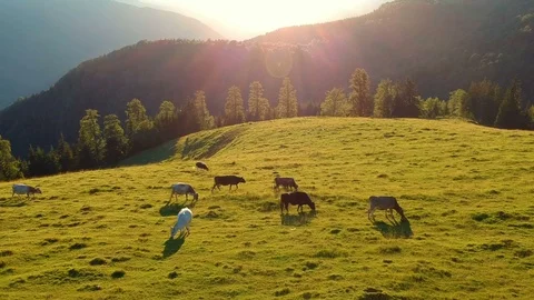 Aerial view of a mountain sunset Stock Footage 91832056