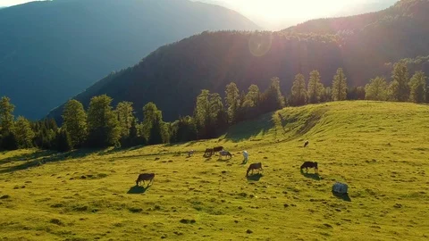 Aerial view of a mountain sunset Stock Footage 91832235