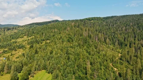 Aerial view Of The Mountain Top with trees and meadow. Stock Footage 120160309