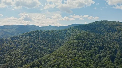 Aerial view Of The Mountain Top with trees and meadow. Stock Footage 121926811