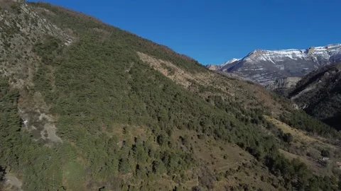 Aerial view of a mountain with trees and snow Stock Footage 328615484