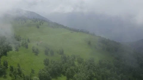 Aerial view of mountain, trees through clouds. Horses, rams graze on meadow Stock Footage 165917065