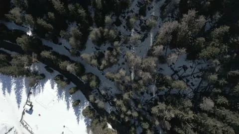 Aerial view mountain trees in winter season. Video 4K 库存影片 238372317