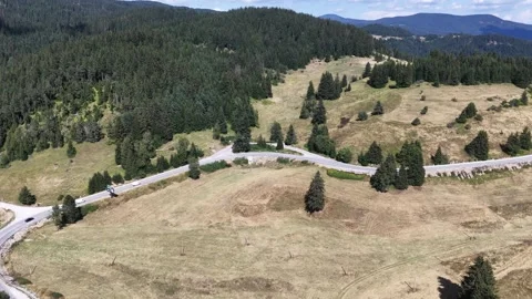 Aerial View of Mountain Winding Road and Freshly Harvested Meadows in Bulgaria Stock Footage 344376875