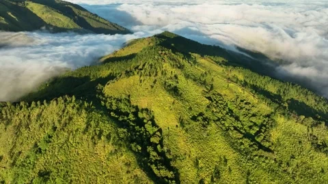 Aerial View of Mountains Above the Clouds at Sunrise Stock Footage 244755405
