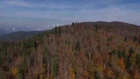 Aerial view of mountains and forests in Autumn Stock-Footage 289127553