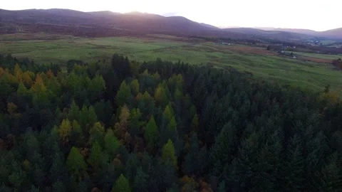 Aerial view of mountains and pine forest Scottish Highlands Stock Footage 168559681