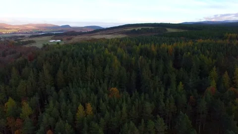 Aerial view of mountains and pine forest Scottish Highlands Stock Footage 168559682