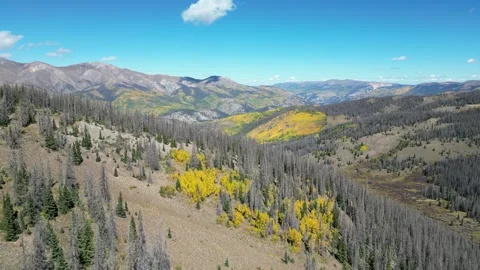 Aerial View of Mountains and Trees Near Silverton, Colorado Stock Footage 274511951