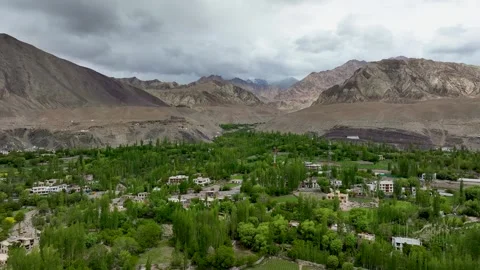 Aerial view of mountains and trees in Ladakh, India. Stock Footage 312340892