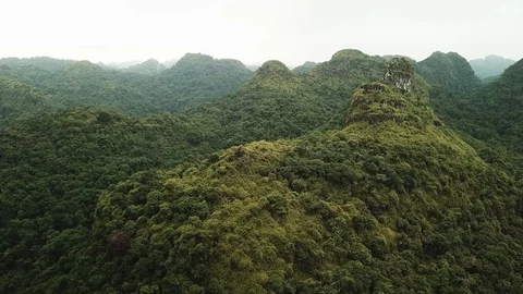 Aerial View of mountains in Cat Ba National Park, Vietnam Stock Footage 92355326