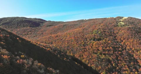 Aerial view of the mountains covered by beech forests with the autumn foliage Stock Footage 268492044
