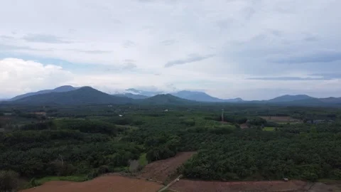 Aerial view of mountains covered in clouds and surrounded by trees Stock Footage 288990526