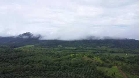 The aerial view of the mountains covered in clouds looks beautiful, piercin.. Stock Footage 301685240