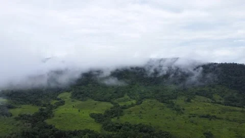 The aerial view of the mountains covered in clouds looks beautiful, piercin.. Stock Footage 301686737