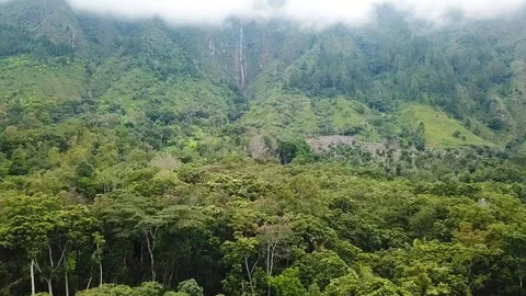Aerial view of mountains covered forest, waterfall and clouds. Stock Footage 101900916