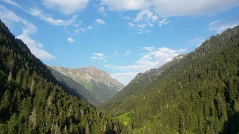 Aerial view of mountains covered with forest. Drone view of Rize Kackar mount Stock Footage 251653513