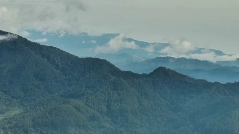 Aerial view of Mountains covered rainforest. Sumatra, Indonesia. Stock Footage 241568812