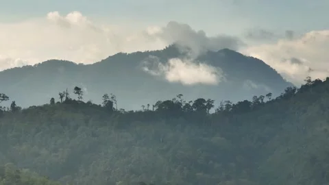 Aerial view of Mountains covered rainforest. Sumatra, Indonesia. Stock Footage 243539355