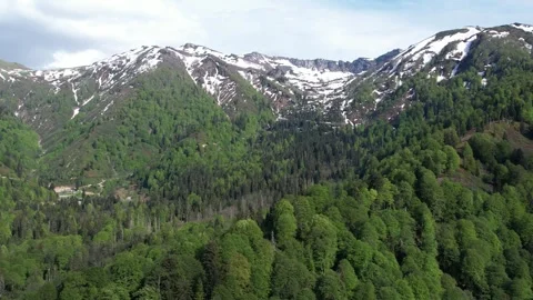 Aerial view of mountains covered with trees and snow Stock Footage 294076103