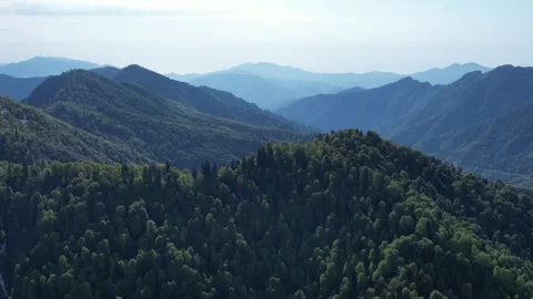 Aerial view of mountains covered with trees Stock Footage 294076253