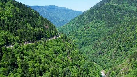 Aerial view of mountains covered with trees and forest in Rize Camlihemsin Stock Footage 294078456