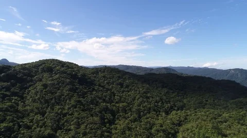 Aerial View of Mountains in Rainforest Vídeos de archivo 77516602