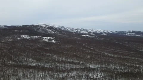 Aerial view of a Mountains Range with Forest and Lap and Eternal Snow in Winter Stock Footage 194343938