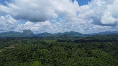 Aerial view of mountains surrounded by dense trees and covered in thick cloud Stock-Footage 309429217