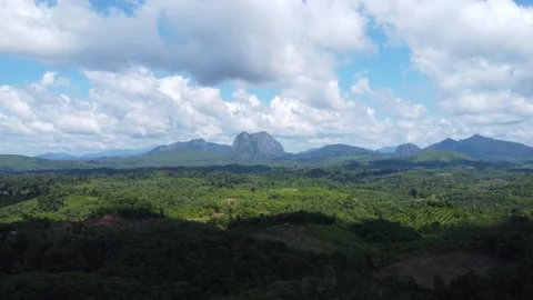 Aerial view of mountains surrounded by dense trees and covered in thick cloud Stock Footage 309429228