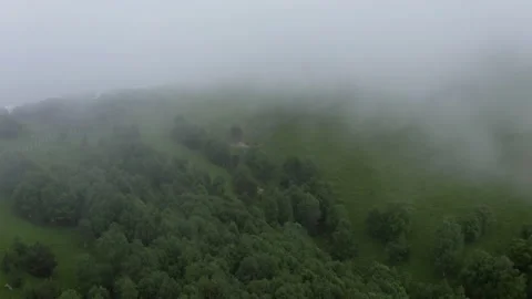 Aerial view mountains trees through clouds, fog. Horses grazing, Nizhny Arkhyz Stock Footage 165917101