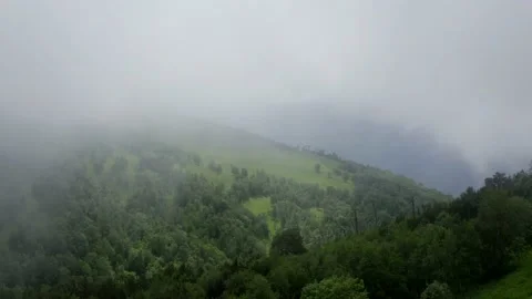 Aerial view mountains trees through clouds, fog. Horses grazing, Nizhny Arkhyz Stock Footage 165917154