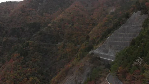 Aerial view of a moutain road surrounded with trees in autumn colors Stock Footage 201283772
