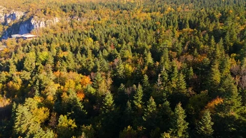 Aerial view Movement over the forest on the mountain ridge in autumn time Stock Footage 331246817