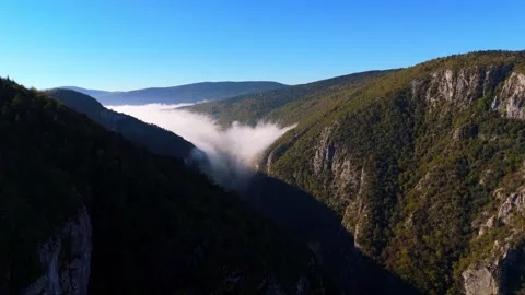 Aerial view Movement over the forest on the mountain ridge in autumn time Stock Footage 331246991