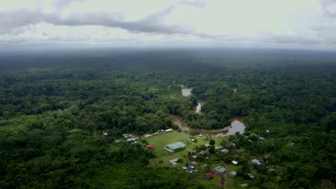 Aerial view, moving backwards and revealing the vast Amazon rainforest Stock Footage 169938186
