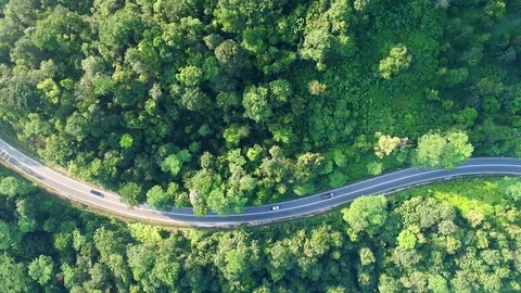 Aerial view. Moving cars on a winding road. Stock Footage
