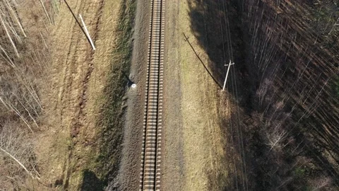 Aerial view of moving commuter train in fall. Vídeo Stock 127154881