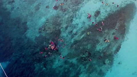 Aerial  view moving down of tourists snorkelling at the crystal clear beach. Stock Footage 162644389