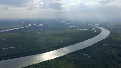 Aerial view, moving forward above the branches river is a (Danube river) flows Stock Footage 138266598